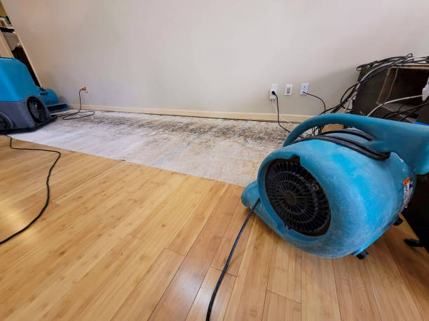Professional Emergency Water Damage technician working in New Prague, MN